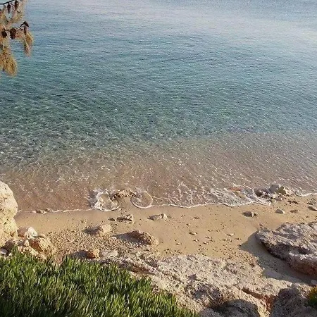 Apartment Dobrila Jelsa (Hvar)